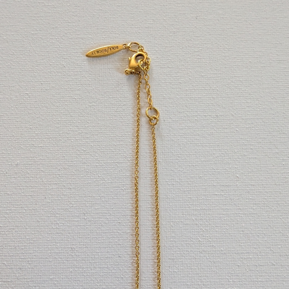 Sole Society Necklace - Picture 8 of 9